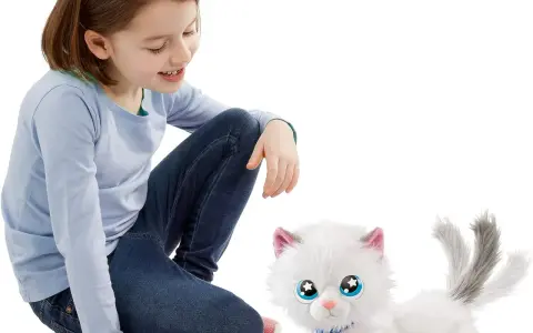 Kotek interaktywny jak prawdziwy – najlepsze modele i ich funkcje