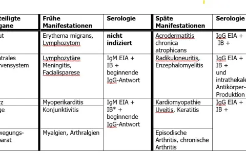 Borrelien Blutuntersuchung: Wichtige Informationen zur Diagnose von Lyme-Borreliose