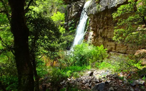 Cascada en la sierra de Ayllón, rodeada de vegetación frondosa y rocas. El agua cae por un acantilado rocoso, creando un paisaje natural impresionante.