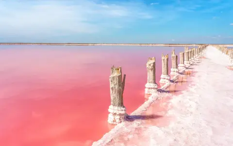Alicante różowe jezioro, z drewnianymi słupkami porośniętymi solą, tworzy surrealistyczny krajobraz.