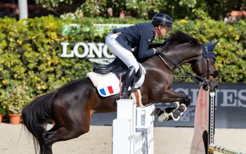 Cavalier français en plein saut lors d'un concours hippique. Le cheval, puissant et concentré, franchit un obstacle blanc.