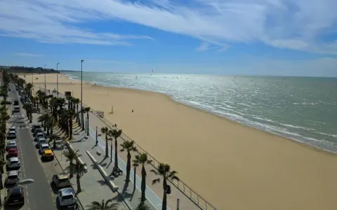 Sonniger Strand mit Palmen und Autos in Sanlúcar de Barrameda. Das Meer glitzert, am Horizont sind Kitesurfer zu sehen.