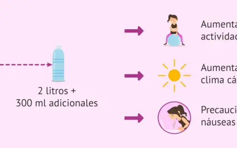 Embarazo: 2 litros + 300 ml adicionales. Aumentar con ejercicio, calor y precaución con náuseas. La importancia de la hidratación es clave.