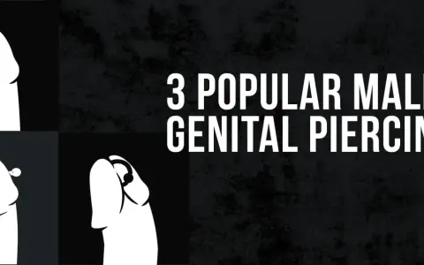 Ilustracje pokazują trzy rodzaje piercingu penisa: pierścień, sztangę i kółko.