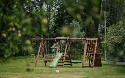 Jak zbudować bezpieczny małpi gaj w ogrodzie? Poradnik DIY