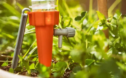 Un système d'arrosage goutte à goutte pour potager, avec une goutte d'eau tombant d'un dispositif orange et gris au milieu de plantes vertes.