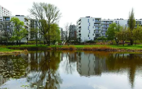 Co oznacza teren zieleni nieurządzonej i jakie ma ograniczenia?