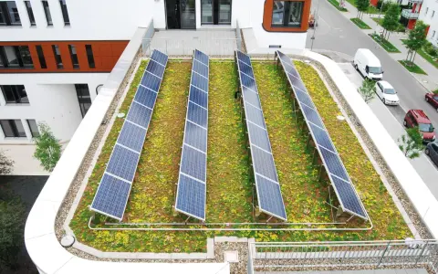 Reihen von Solarmodulen auf einem blühenden, **bewachsenen Dach** mit Blick auf eine Straße und Gebäude.