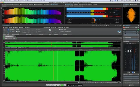 Interface de mastering audio, affichant des formes d'onde, des analyseurs de spectre et des niveaux. L'objectif est mastering son.
