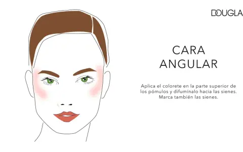 Ilustración de rostro angular con rubor rosado aplicado en pómulos y sienes. El blush realza la estructura facial.