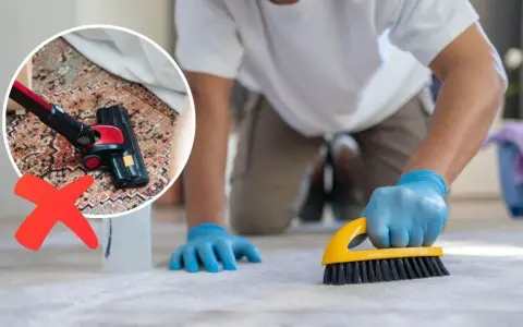 Hombre con guantes azules cepillando alfombra. Un círculo muestra aspiradora con cruz roja, indicando no aspirar. Limpiar alfombras en casa es más efectivo con cepillo.