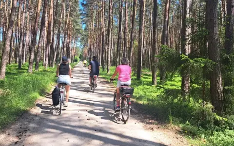 Rodzina na rowerach przemierza leśną ścieżkę. Słońce przebija się przez drzewa, tworząc cień. To idealne miejsce na **velo tatry** i aktywne spędzanie czasu.