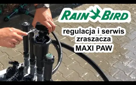 Naprawa zraszacza Rain Bird: Zrób to sam i oszczędź!