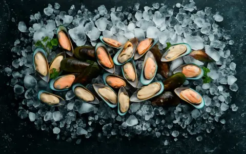 Mejillones frescos listos para congelar, sobre una cama de hielo picado. Su carne naranja y cremosa contrasta con sus conchas oscuras.