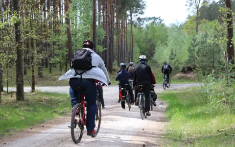 Grupa rowerzystów w lesie. Słońce przebija się przez drzewa, a ścieżka jest piaszczysta. To świetny sposób na spalenie puste kalorie i cieszenie się naturą.