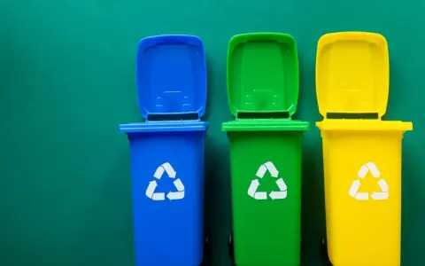 Trzy kolorowe kosze na śmieci: niebieski, zielony i żółty, z symbolami recyklingu. Pytanie: gdzie wyrzucać jednorazówki?