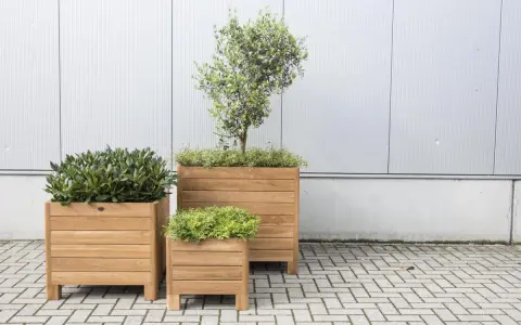 Trois jardinières en bois accueillent des plantes vertes luxuriantes, créant un espace extérieur invitant.