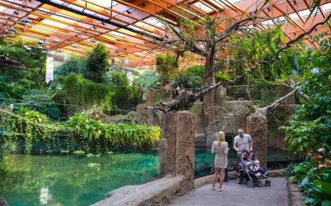 Afrykarium Wrocław: Jedyna taka Afryka! Bilety, dojazd, atrakcje