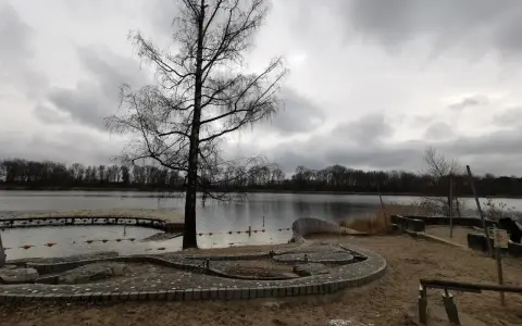 Ein kahler Baum am Ufer des Baggersees Grenis. Eine Holzplattform ragt ins Wasser, das von einer Bojenkette begrenzt wird. Sandiger Strand mit steinernen Sitzgelegenheiten.