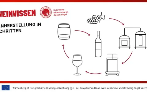 Illustration zeigt die **Weinherstellung Schritte**: Trauben, Presse, Flasche, Fass und Tanks.