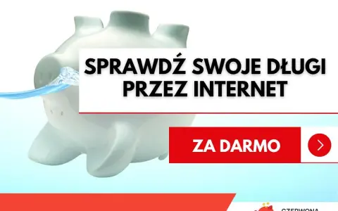 Świnka skarbonka tonie w wodzie. Napis: "Sprawdź swoje długi przez internet". Dowiedz się, jak sprawdzić czy ktoś ma komornika.
