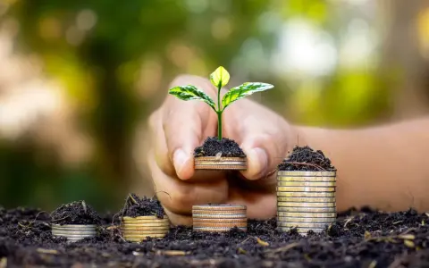 Una mano sostiene una planta joven brotando de monedas apiladas, simbolizando el crecimiento y la inversión en hostelería sostenible.