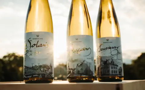 Trzy butelki białego wina z etykietami "Solaris", "Muscaring" i "Souvigner" na tle zachodzącego słońca.