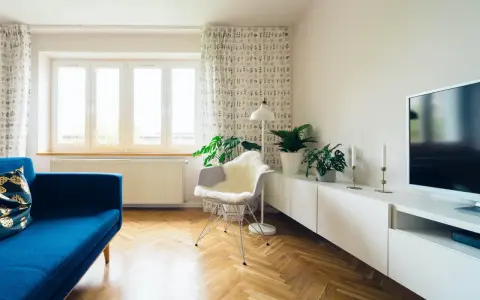 Jasny salon z niebieską kanapą i roślinami. Zasłony z wzorem pomogą jak wyciszyć pokój.