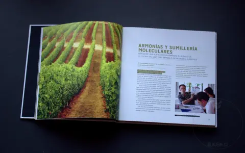 Viñedos verdes y un texto sobre armonías moleculares y papilas gustativas.
