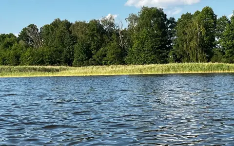 Spokojne jezioro wieleńskie z falującą wodą i zielonym lasem w tle.