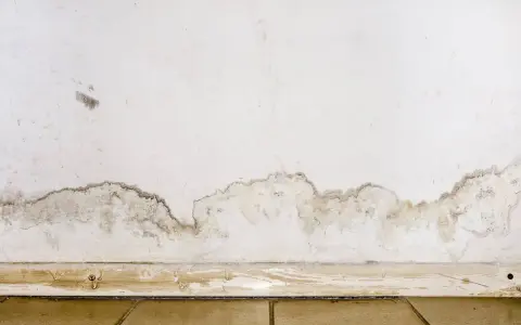 Muffa in casa: macchie scure e umidità sul muro vicino al battiscopa, segno di un problema da risolvere.