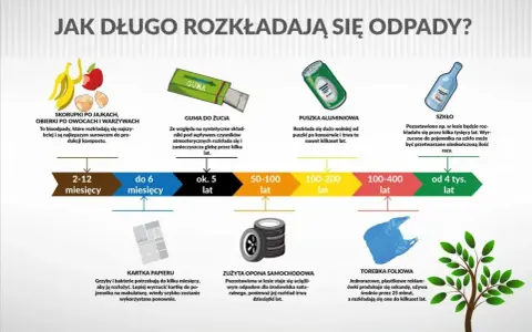 Guma do żucia rozkłada się przez kilka lat, zanieczyszczając glebę.