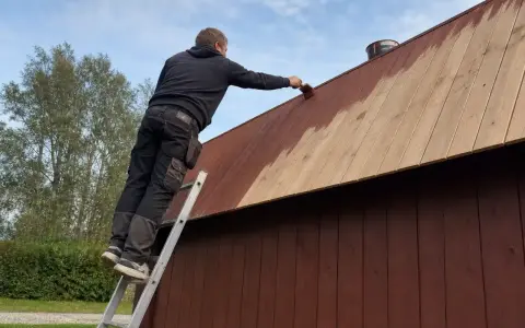 Man på en stege målar plank på ett tak med brun färg.