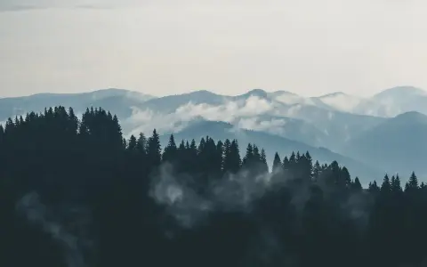 Mgliste góry sowie, zalesione zbocza i doliny, tworzą malowniczy krajobraz.