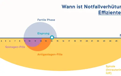 Grafik zeigt den Menstruationszyklus mit fruchtbarer Phase und Eisprung. Sie erklärt, wann die Notfallverhütung, wie die Pille danach, am effizientesten ist.