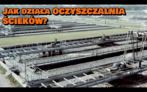 Jak działa oczyszczalnia ścieków? Film edukacyjny dla dzieci, który zaskakuje