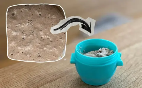 Sauerteig im Urlaub: Ein kleiner Behälter mit Sauerteig-Starter wartet auf seine nächste Fütterung.