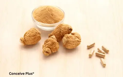 Racines de maca séchées, poudre de maca et gélules sur fond de bois clair. Le maca, une plante péruvienne, est présenté sous différentes formes.