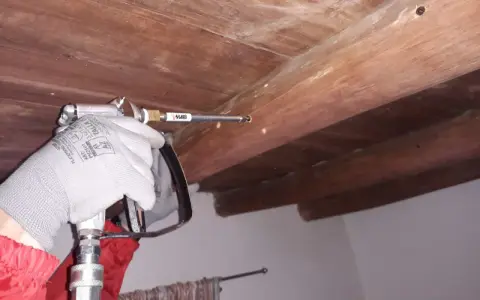 Aplicando ácido bórico para termitas en vigas de madera.