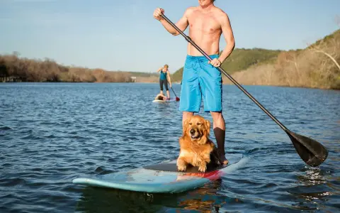 Mann mit sup hund krallen auf dem See. Ein Mann und sein Hund genießen das Stand-Up-Paddling.