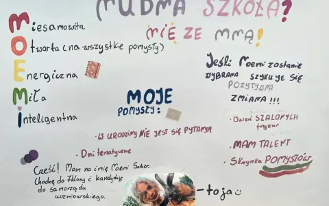 Fajne hasła wyborcze do samorządu szkolnego: "Mądra szkoła? Mie ze mną!", "Jeśli Poemi zostanie wybrana, szykuje się pozytywna zmiana!".