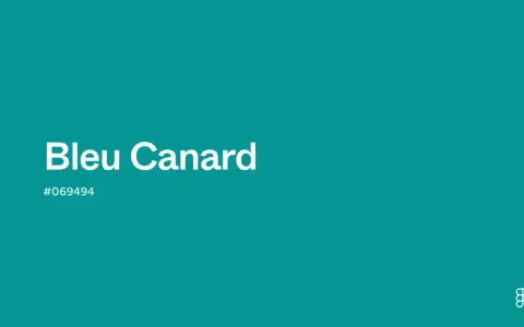 Un fond d'une teinte profonde de bleu canard ou vert canard, avec le texte "Bleu Canard" et le code hexadécimal #069494.