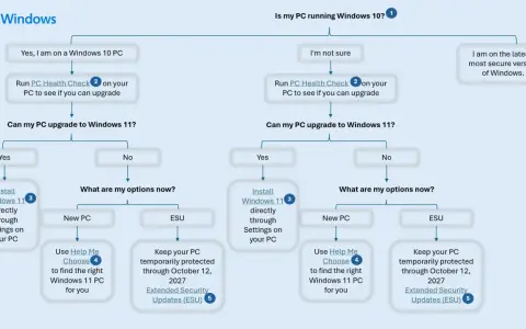 Schemat decyzyjny dotyczący aktualizacji Windows 10 do Windows 11. Sprawdź, czy Twój komputer spełnia wymagania i jakie masz opcje.