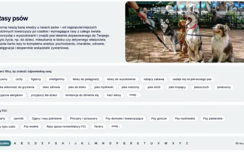 Cztery psy na smyczach, w tym husky i owczarek australijski. Strona prezentuje, ile jest ras psów, z opcjami filtrowania.