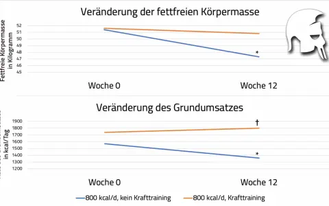 Diagramm zeigt, wie sich fettfreie Körpermasse und Grundumsatz bei 800 kcal/d Diät mit/ohne Krafttraining verändern. Krafttraining hilft, den Grundumsatz beim Abnehmen zu erhalten.