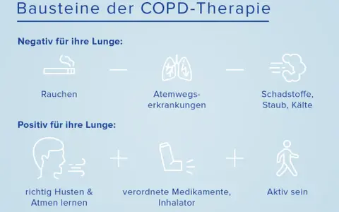 Bausteine der COPD-Therapie: Rauchen, Atemwegserkrankungen und Schadstoffe sind negativ. Richtig husten, Medikamente (wie der brimica wirkstoff im Inhalator) und Aktivsein sind positiv für die Lunge.