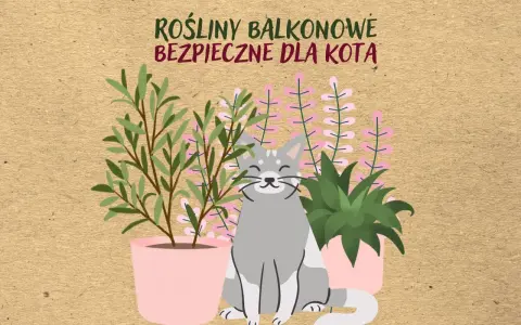 Uśmiechnięty kot siedzi wśród roślin balkonowych bezpiecznych dla kota.