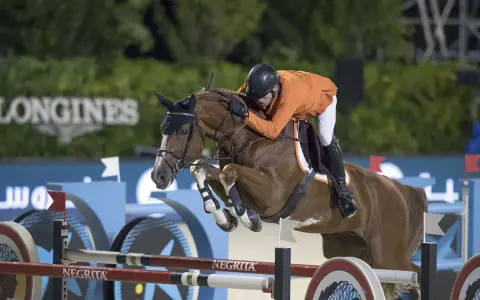 Un cavalier en orange et un cheval brun sautent un obstacle. Le cheval, d'une robe rappelant l'émeraude, semble voler.