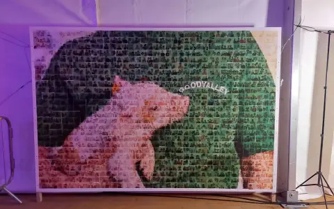 Wielki fotokolaż przedstawiający świnię i napis "GOODVALLEY", stworzony z tysięcy małych zdjęć ludzi.