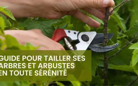 Main d'un jardinier utilisant un sécateur pour tailler une branche d'arbuste. Guide pour savoir comment tailler ses arbres et arbustes.